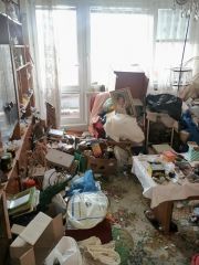 IMG_20250410_080625296-2