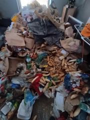 IMG_20251111_085617435