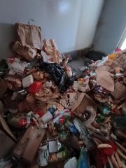 IMG_20251111_085621883