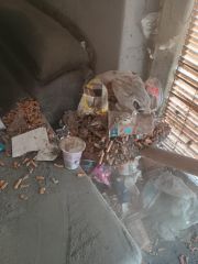 IMG_20251111_113007865_HDR