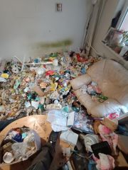 IMG_20251220_100759565